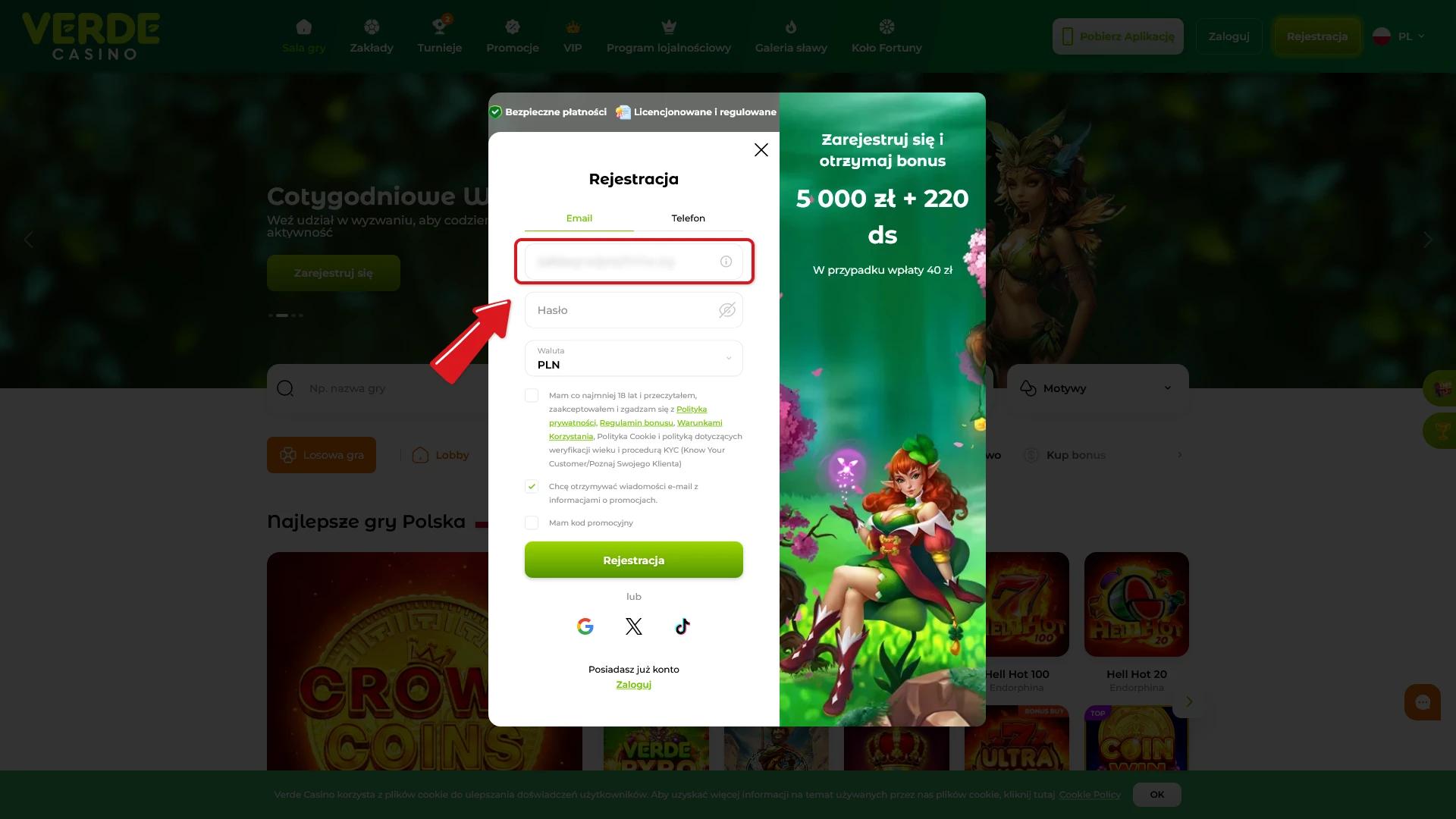 Wpisz dane wymagane podczas Instrukcja Rejestracji, aby w pełni korzystać z Verde Casino.