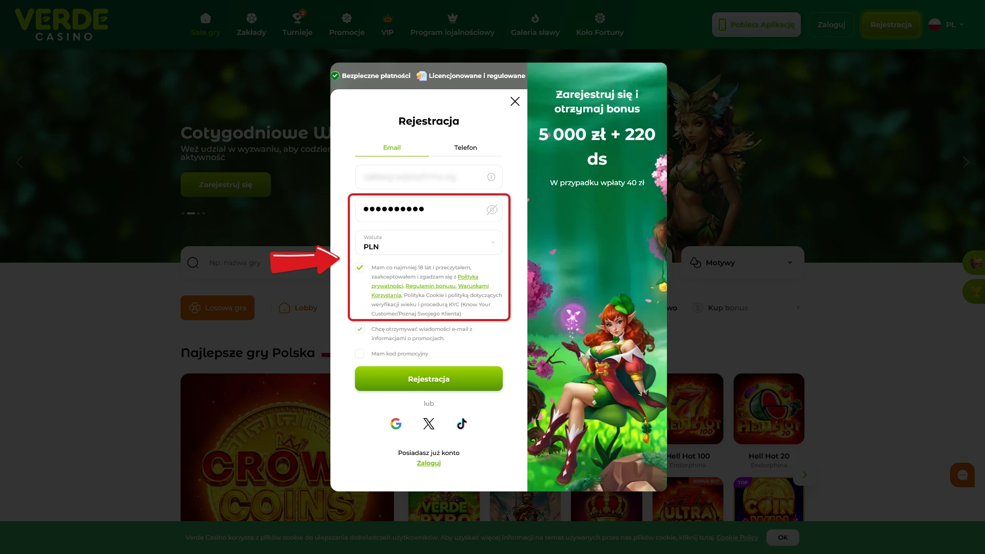 Ustal bezpieczne hasło podczas Instrukcja Rejestracji i zaakceptuj warunki serwisu Verde Casino.
